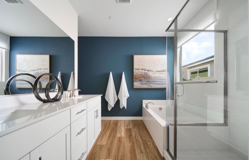 Owner's Bathroom