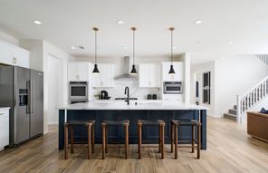 27409 Elk Hill Drive (Ashford)