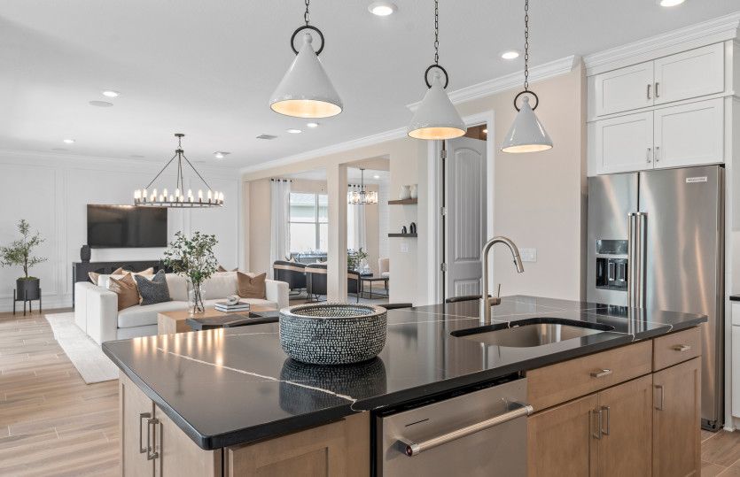 4597 Golden Birch Ave. Clermont, FL 34714