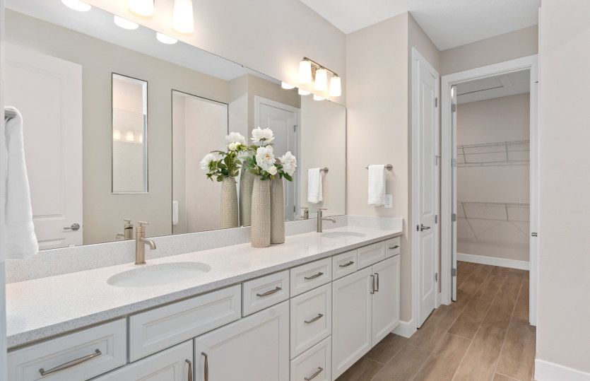 Owner's Bath