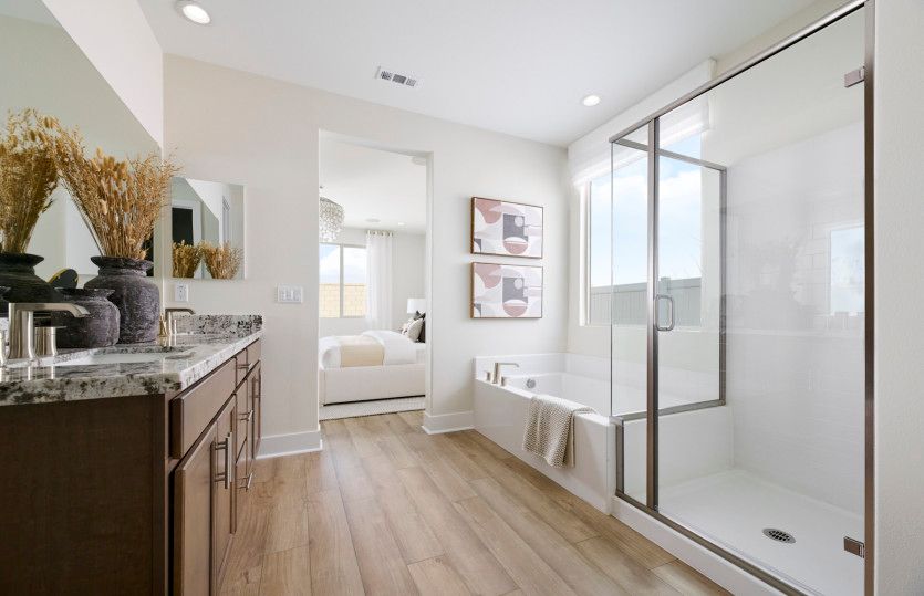 Owner's Bathroom
