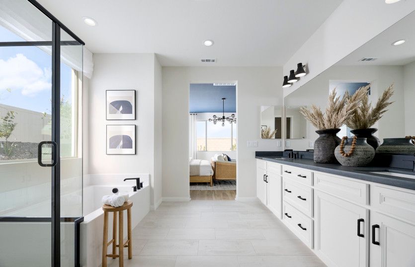 Owner's Bathroom