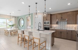 Coral Grand - Winter Grove: Winter Garden, Florida - Pulte Homes