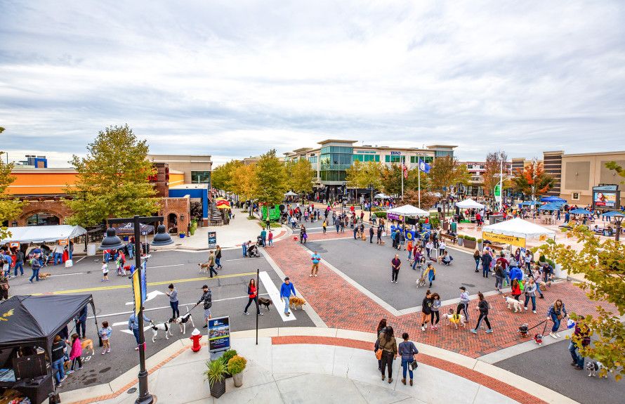 Bark Bash at One Loudoun