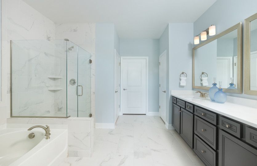 Owner's Bathroom