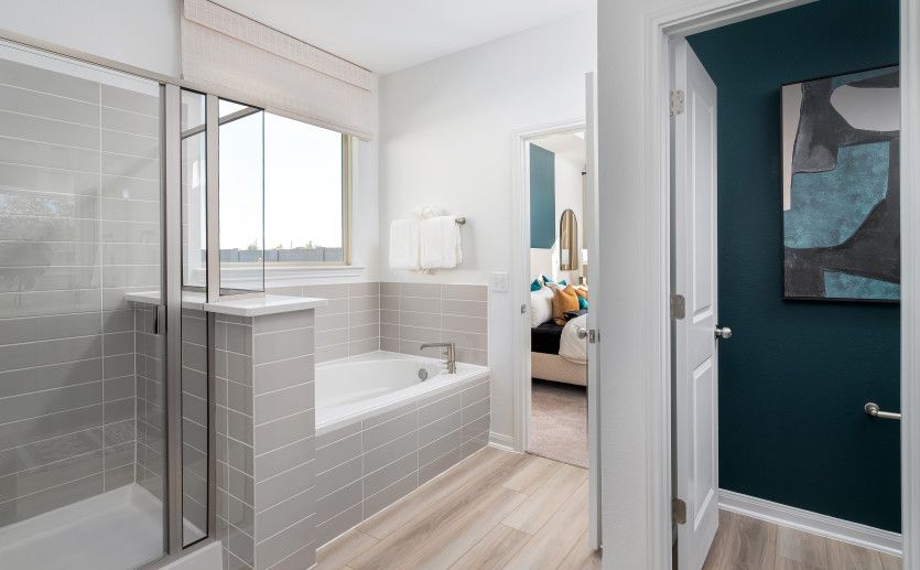 Owner's Bath with Walk-In Shower and Tub