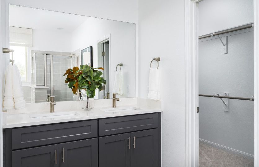 Owner's Bath with Double Vanity