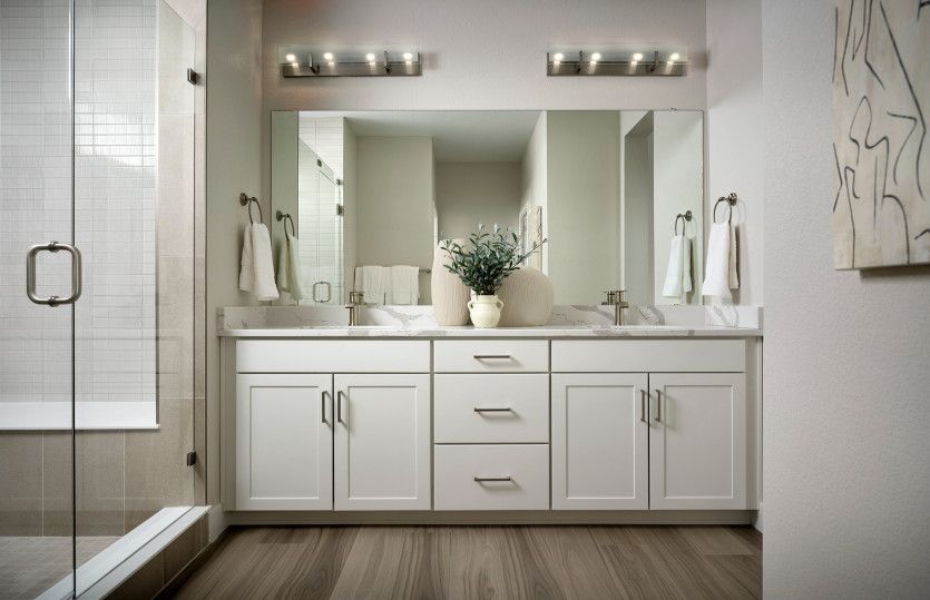 Owner's Suite Bath