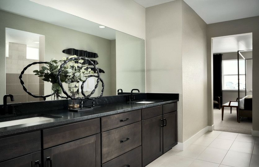 Owner's Suite Bath