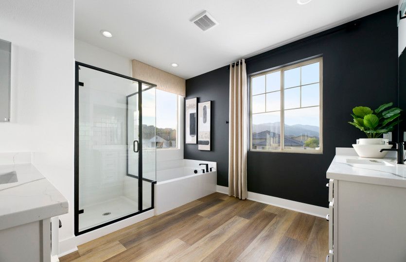 Owner's Bathroom