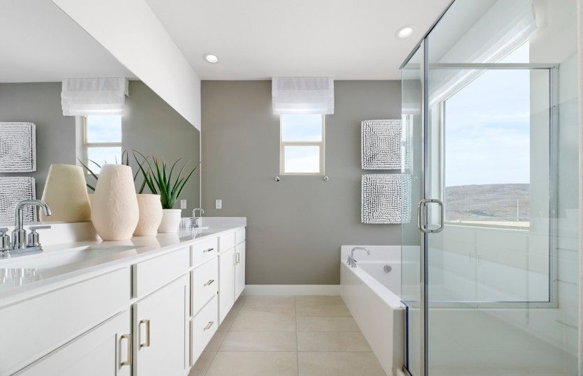 Owner's Bathroom