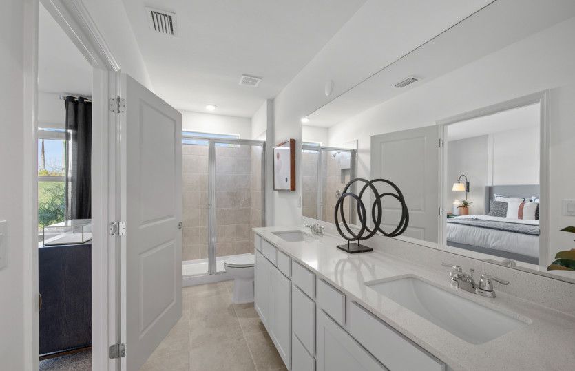 Owner's bathroom