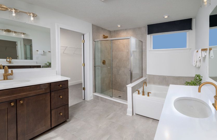 Owner's Bath