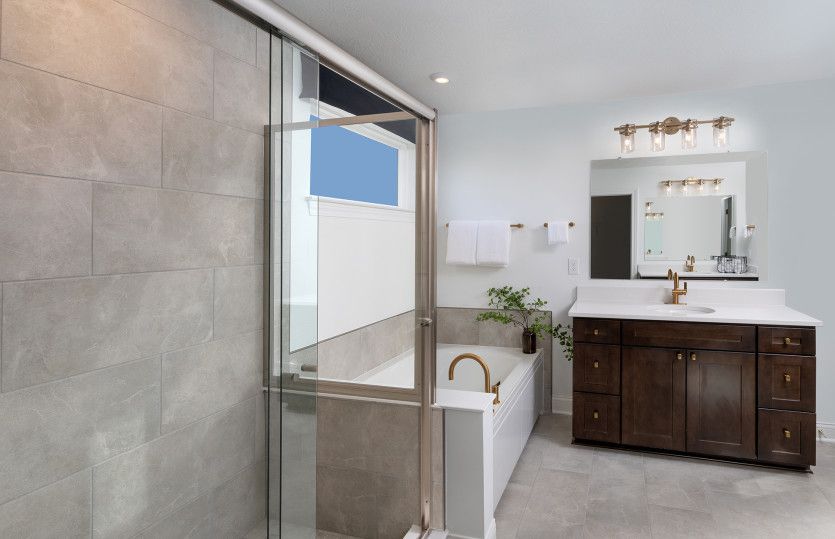 Owner's Bath
