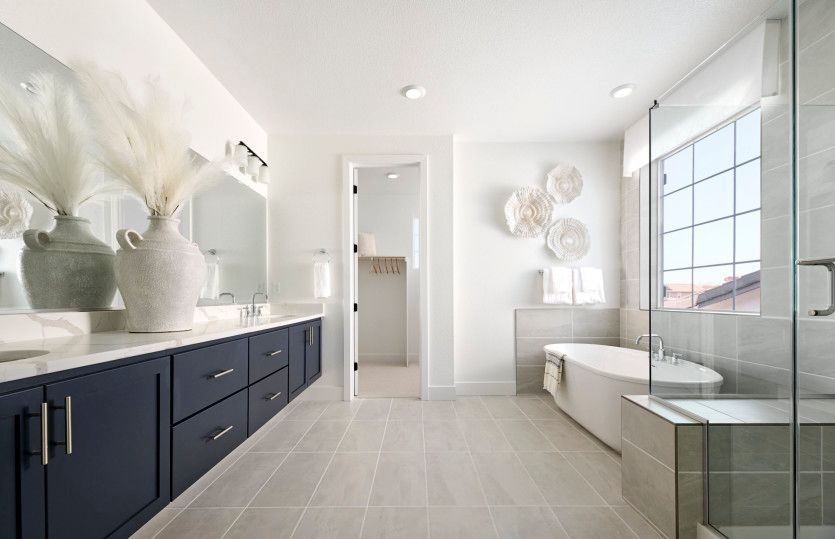 Expansive owner's suite bathroom