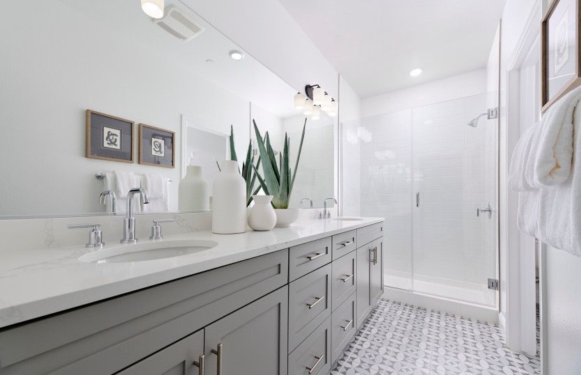 Luxurious owner's suite bathroom