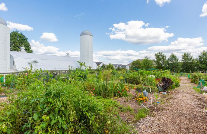 King Farm Farmstead