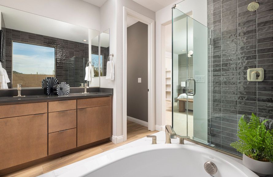 Luxurious Owner's Bath