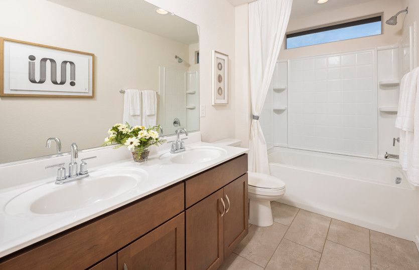 Brand New Construction in Goodyear