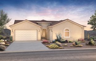 Patagonia - Harvest - Enchantment Series: Queen Creek, Arizona - Pulte Homes