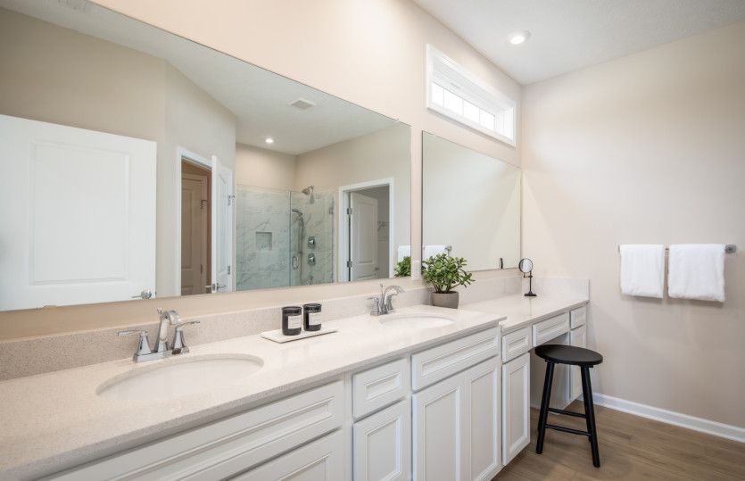 Large Owner's Bath