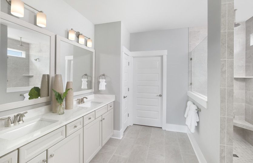 Owner's Bathroom, Model Representation