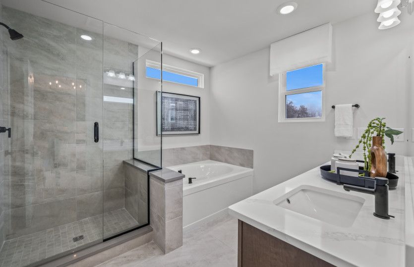 Owner's Bath