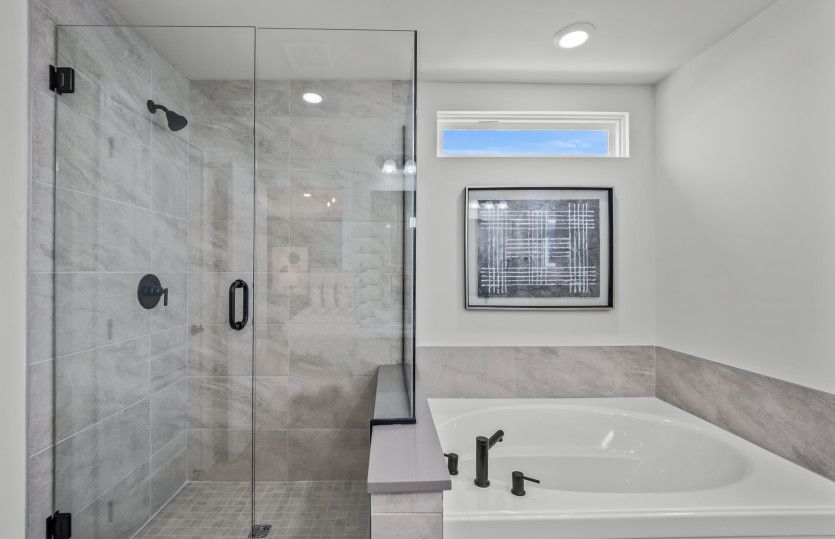 Owner's Bath