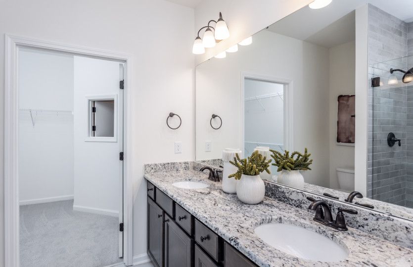 Owner's Bath & Walk-In Closet