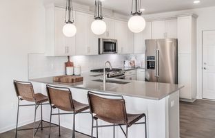 Murray Hill - Scarlet Place: New Brunswick, New Jersey - Pulte Homes