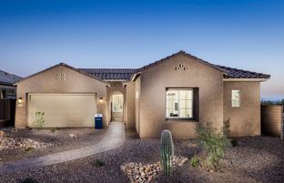 Ravenna - Saguaro Reserve at Dove Mountain: Marana, Arizona - Pulte Homes