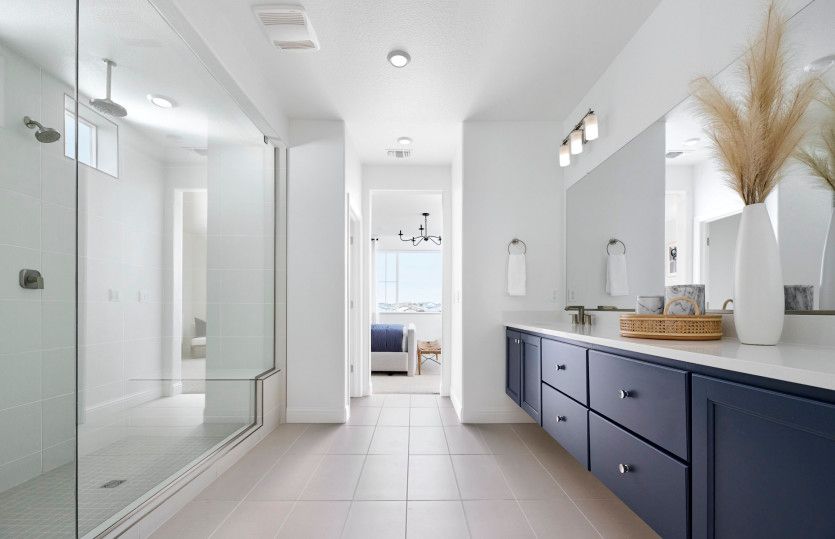 Owner's bath