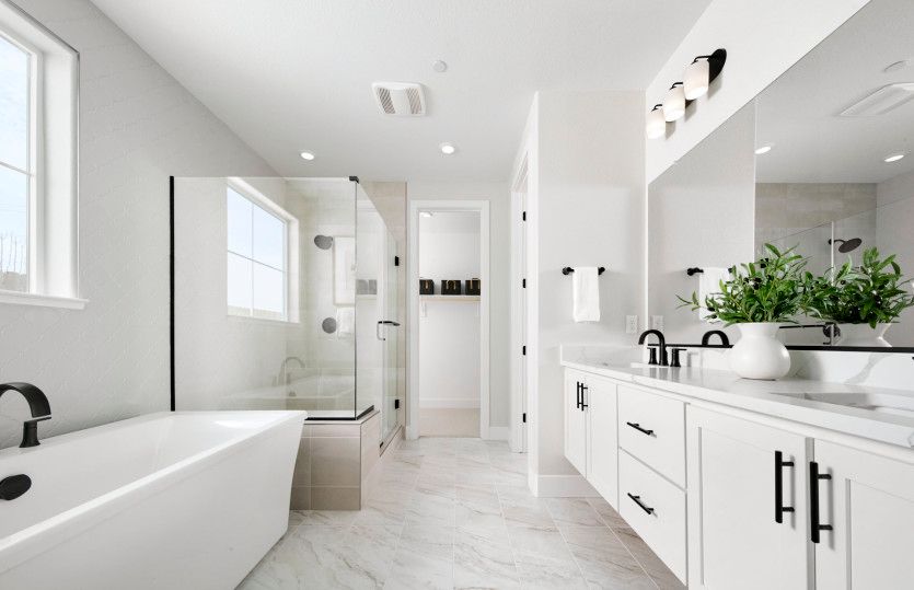 Owner's bathroom with separate tub and shower