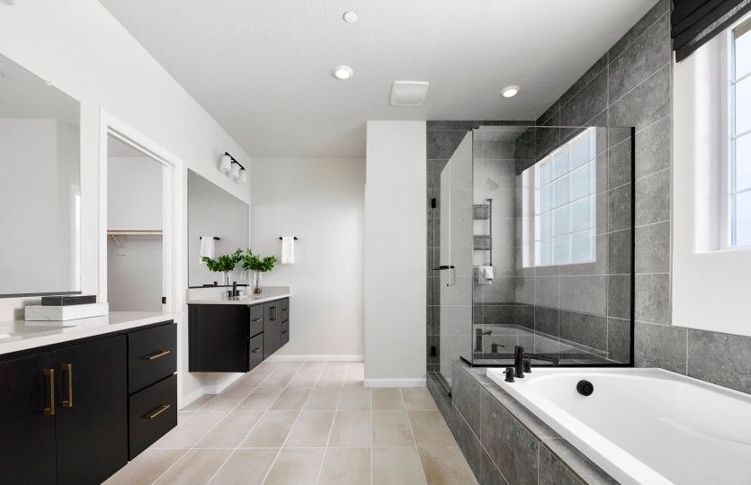 Owner's bath with separate tub and shower