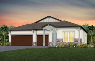 Mahogany - Vida's Way: Wesley Chapel, Florida - Pulte Homes