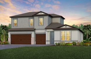 Mahogany - Vida's Way: Wesley Chapel, Florida - Pulte Homes