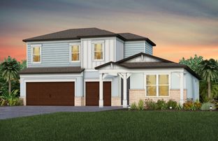 Mahogany - Vida's Way: Wesley Chapel, Florida - Pulte Homes