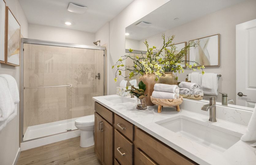 Guest Bath