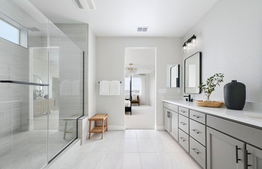 Owner's bath with large walk-in shower