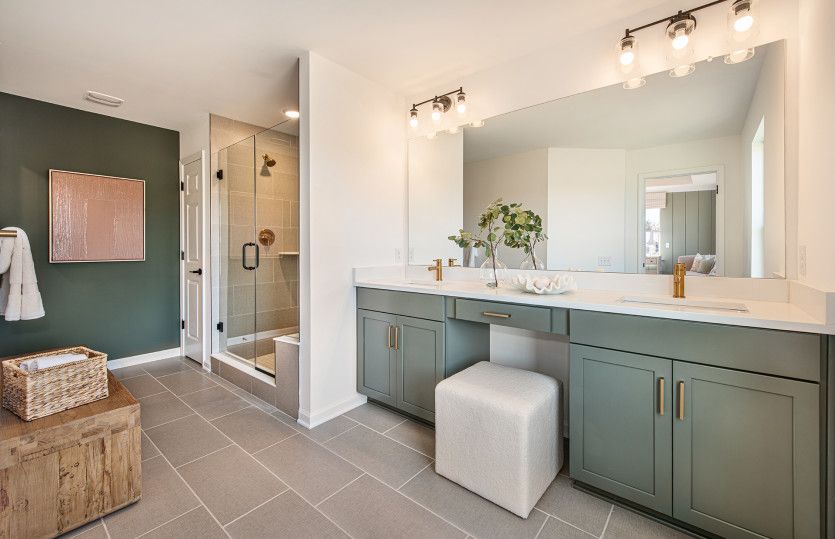 Spa-like owner's bath