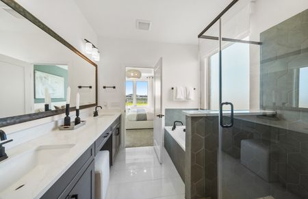 Walk-in Shower & Tub Options
