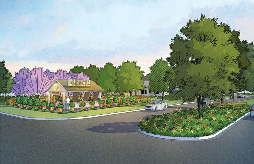 Beautiful Landscaping Coming