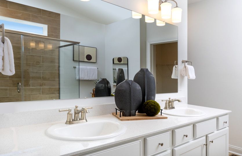 Owner's Bath