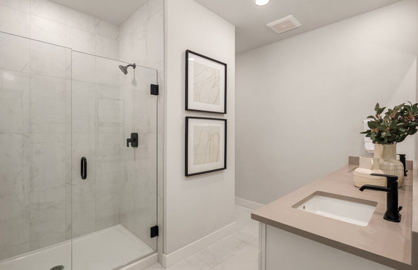 Primary Bathroom- Model Representation