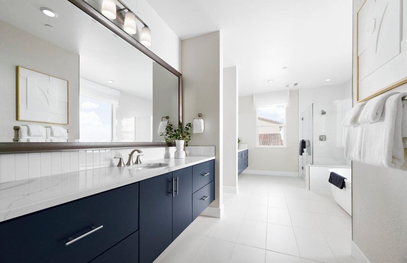 Owner's suite bathroom