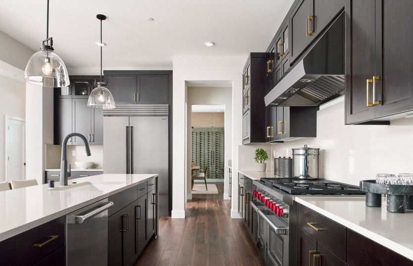 Kitchen with elite cooktop
