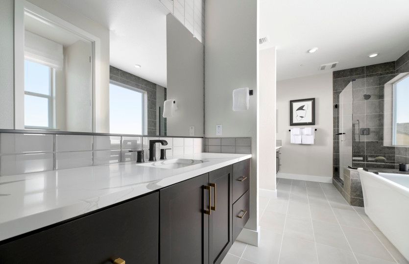 Owner's suite bathroom with freestanding tub