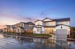 The Shores at River Islands - Lathrop, CA