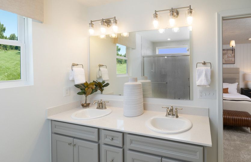 Owner's Bath