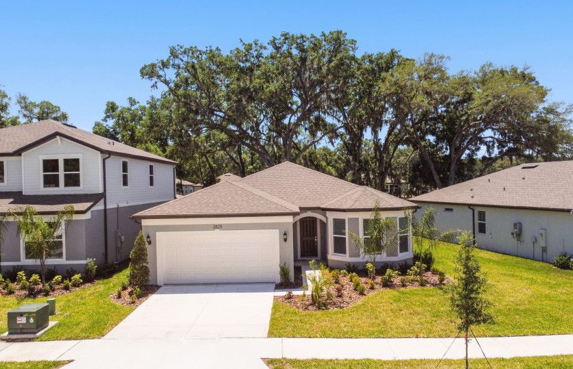 2825 Dolores Home Ave. Valrico, FL 33594